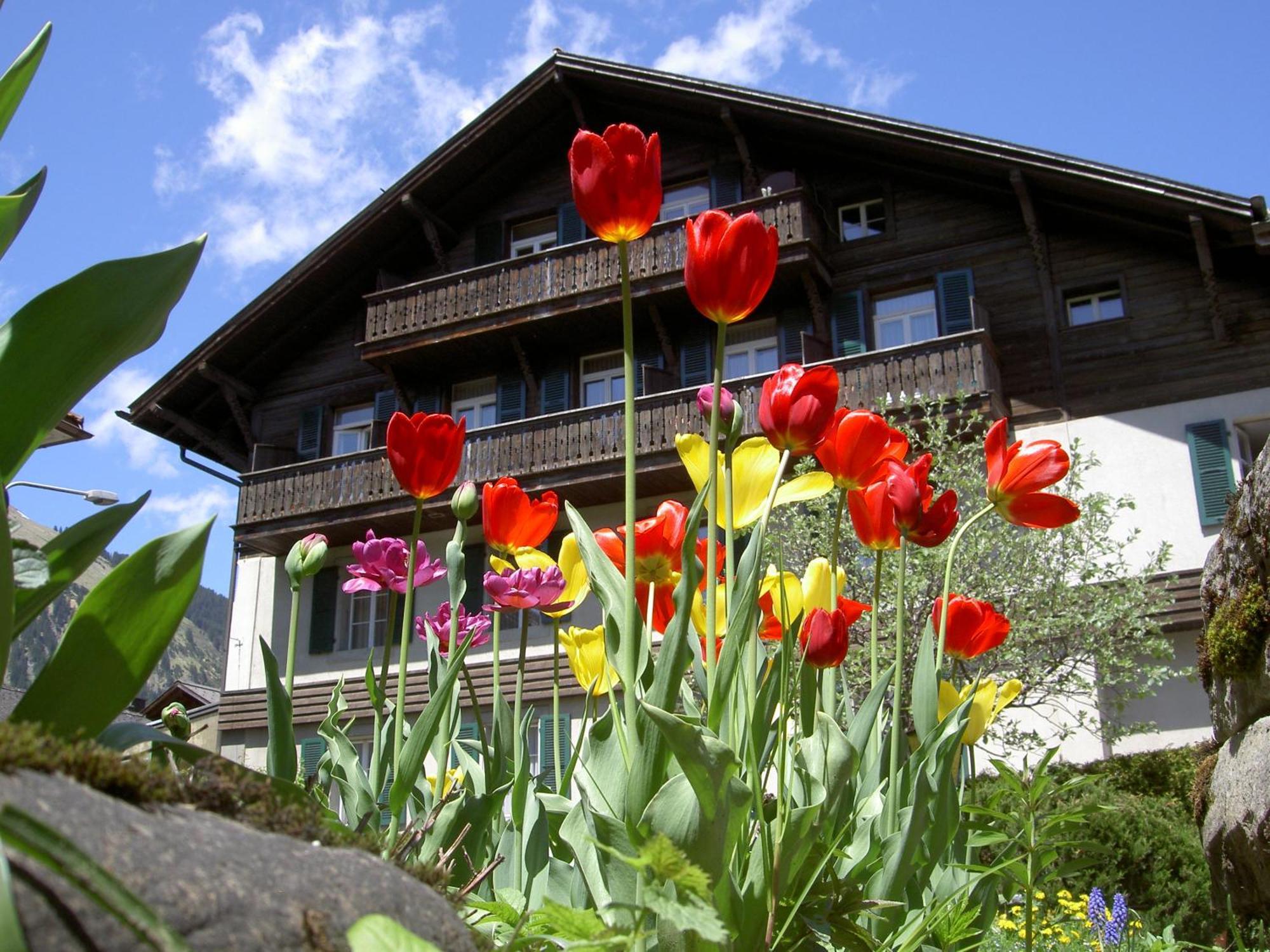 Hotel Sternen Lenk